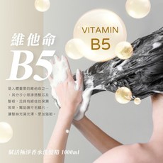 COCO 5 奢華香水沐浴乳 1000ml 持久香氛保濕, 1個, 賦活NO5洗髮, 1L