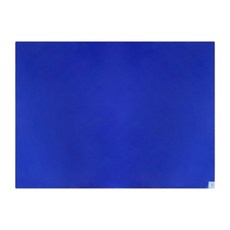 腳踏黏墊 適用 無塵室腳踏黏墊 黏塵墊 除塵墊 黏塵腳踏墊 無塵室地墊 無塵室黏墊, 1個