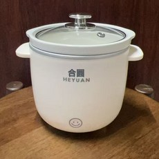 迷你小型電燉鍋養生煲湯煮粥鍋家用陶瓷寶寶輔食鍋燉鍋燕窩鍋, 小燉鍋陶瓷內膽+可視玻璃蓋:0.7L