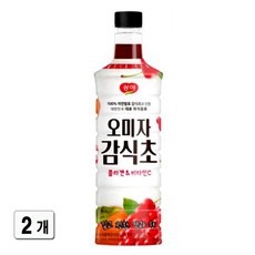 광야식품 오미자 감식초 베이스, 970ml, 2개