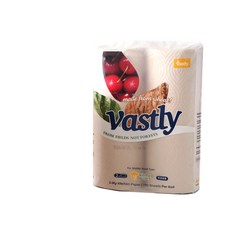 바스틀리 친환경 주방용 2겹 키친타올, 170매, 2개