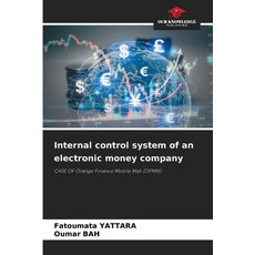 (영문도서)Internal control system of an electronic money company Paperback, Our Knowledge Publishing, English, 9786208749774