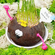 [오피스스쿨] 민화샵 토피어리 만들기세트 잔디인형 식물키우기 풀패키지 새싹키우기 재배키트, 민화 토피어리 만들기, 1개