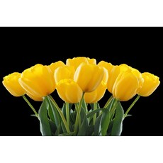 코나 주방아트보드 주방 부엌 청결 인테리어 꾸미기 셀프 노란튤립2, 1개