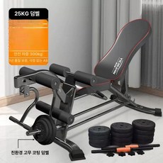 기립근 운동기구 복근 허리 롤아웃 홈짐, 기본형25kg 덤벨, 기본 모델명/품번