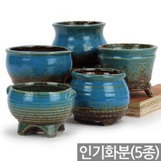 세인화분 유약 칼라화분 세트 - 다육 다육이, 03_세인_칼라인기화분(5종)_블루, 1세트