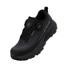 [백화점 정품] 25FW 피크온 로우 D GTX ABYSHXV904