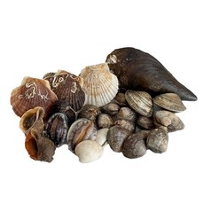 두팜 조개구이 2kg 세트 조개모듬 캠핑조개, 고급세트 2kg 내외, 1세트