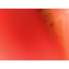 綻白粉（紅色）, 1個