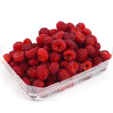 [순진한]새콤달콤 프리미엄 2025 햇 산딸기 생과 / 당일수확발송 250g 500g 750g 1kg, 4개