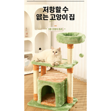 3단 아파야스 고양이 나무, 녹색, 1개