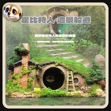 【XL-LX】袋底洞大型爬蟲躲避洞，適用守宮、蜥蜴、蜘蛛，爬蟲箱造景必備，提供安全舒適的棲息環境, 1個