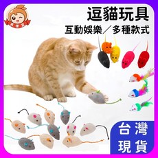 羽毛老鼠逗貓棒寵物玩具：趣味互動，安全材質，激發貓咪狩獵本能, 款式, 1個