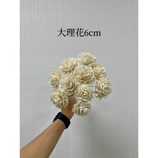 “Be a florist 花藝夢” 高品質索拉 大理花4公分、6公分 "十支販售" 擴香花 乾燥花 永生花 不凋花, 雙色深粉,4公分