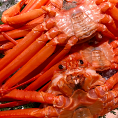 속이꽉찬 고수율 국내산 홍게 10미내외, 1개, 3kg 라면용(냉동)