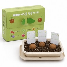 식물키우기 키트 씨드볼 만들기 교구 홈가드닝 씨앗 심기 놀이 재료, 방울토마토