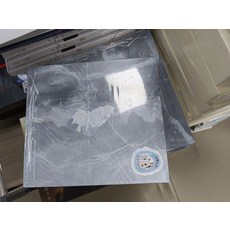 王靖雯《淪陷》忘了沒有/不知所措 實體專輯 CD+歌詞本 全新未拆封, 如圖所示