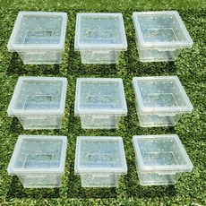 [꼬망구] 파충류 알보관 케이지, 9개, 투명