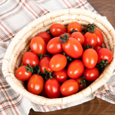 [대박과수원] 스테비아 대추 토마토 토망고 당도 터지는 달콤 짭짤 과즙 팡팡 프리미엄 토마토 500g, 1개, 1팩