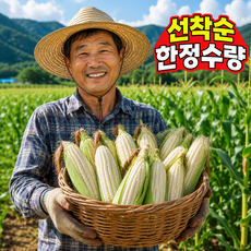 [국내최저가초특가] 국내산 찰옥수수 미백찰옥수수 특품, 1박스, 10개