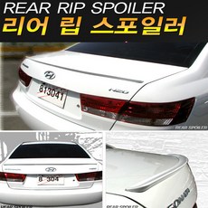 리어립스포일러 트렁크날개 에어로댐 트렁크스포일러, 에쿠스외, 실버