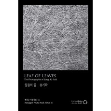 葉中之葉(Leaf of Leaves), 六角形