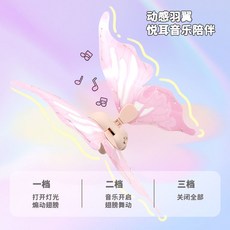 臺灣熱銷 彩燈電動發光蝴蝶翅膀 遙控精靈羽翼背飾 六一兒童玩具 女孩, 1個, 【禮盒裝】電動蝴蝶翅膀（送電池）