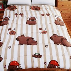 法蘭絨暖暖被台灣製造加厚款雙人棉被現貨6X7加大冬被毯被禮物, 條紋卡皮(超取限一件)