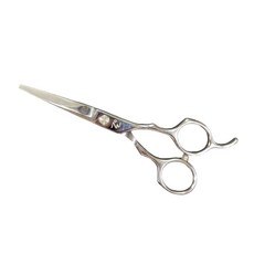 專業級不銹鋼美髮剪刀, 1個, 銀色