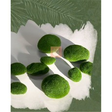 루이의가게 이끼 돌모형 10입 데코 이끼 돌