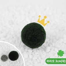 국내제조 건강한 마리모(대)1p 수경식물 애완식물 3cm