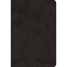 (영문도서)ESV Value Large Print Compact Bible (Trutone Black) Imitation Leather, Crossway, English, 9798874903053