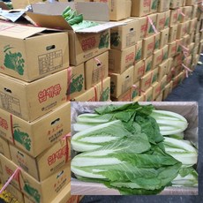 [하나의팜] 국내산 얼갈이 전라도 얼갈이배추, 1박스, 4kg