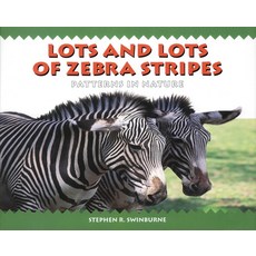 (영문도서) Lots and Lots of Zebra Stripes: Patterns in Nature Paperback, Astra Young Readers, English, 9781563979804