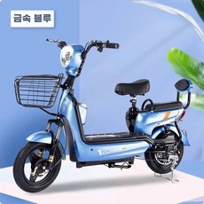 전동스쿠터 출퇴근 배달 접이식 전기스쿠터 전기자전거, 20AH, 블루 흑금 납산 배터리, 48V