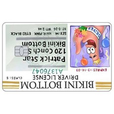 카툰 운전면허증 신용카드 스킨 패트릭 스타 스티커 패치 은행카드 무광 데칼 장식 선물, Small Chip, 4 1PCS