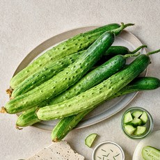 자연진리아삭아삭 백다다기 오이 상특 2kg 3kg, (상) 2kg내외