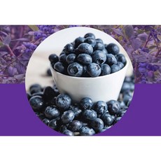 생블루베리 14-16mm 4팩, 4개, 125g
