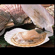 실용적 키조개 숟가락 어패류 손질칼 굴칼 나이프, 1개