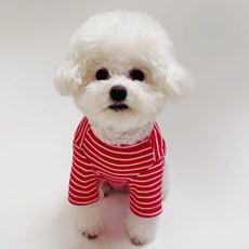 스타일독 컬러풀 골지 스트라이프 라운드 티셔츠 단가라 강아지옷, 1개, 빨강