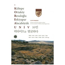 KOREA UNIV 10人發掘西臺：土耳其遺址海外發掘體驗記, 진인진, 李洪鐘 等著
