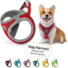 대형견을 위한 DOCO 개 하네스 운동 조절 가능 당김 없음 초크 강아지 조끼 경량 에어 메시 반사형 필수품 – 빨간색 중간 가슴 1617인치 무게 1015파운드, Red, Medium (Chest: 16-17")