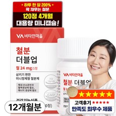 비타민마을 철분 더블업 미니 정제형 철분제, 120정, 3개
