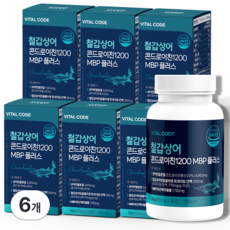 철갑상어 콘드로이친 6형 1200 식약청 상어연골 MBP 플러스 바이탈코드, 6개, 60정