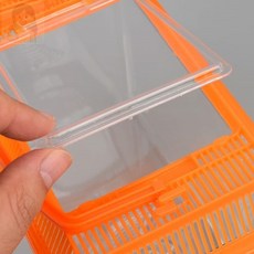 SolSun 곤충채집통 소형 곤충관찰용