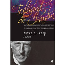 테야르 드 샤르댕, 커뮤니케이션북스, 김성동 저