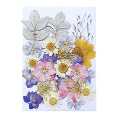 shangren 어린이 diy 수제 데칼 책갈피 그림 스크랩북 카드 장식 꽃 만들기를위한 말린 꽃을 눌러, 10.5x14.8cm, 말린 꽃, 29pcs 말린 꽃