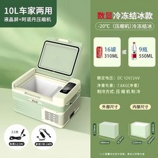 12V/220V 치고 휴대용 차량용 냉장고 냉각 미니 냉동고 더블 도어 가정 및 여행용, 10L, 옵션 1