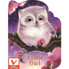 A Little Owl Board Books, Cottage Door Press, English, 9781680526318