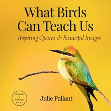 (영문도서)What Birds Can Teach Us: Inspiring Quotes & Beautiful Images Paperback, Pallant Creative Solutions, English, 9780645347609